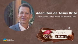 Do Grão à Barra -