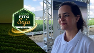 Gabriela Vieira Silva, Pesquisadora Entomologista