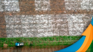 Samuel Bortolin - Gerente de Produtos da Mosaic Fertilizantes