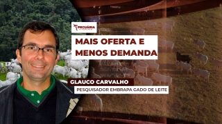 Glauco Carvalho - Pesquisador Embrapa Gado de Leite
