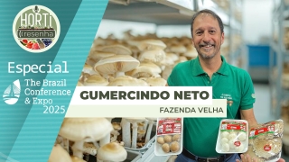Gumercindo Ferreira Pinto Neto - Fazenda Velha