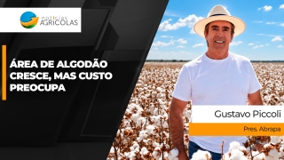 Gustavo Piccoli - Pres. Abrapa