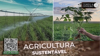 Para o IAC, a Agricultura Sustentável oferece novas oportunidades para o produtor rural