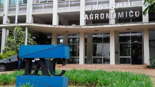 Regina Célia de Matos Pires - Pesquisadora do Instituto Agronômico (IAC)