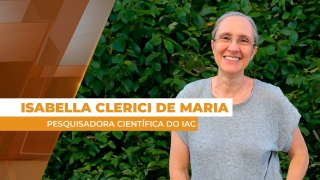 Isabella Clerici De Maria - Pesquisadora Científica do IAC