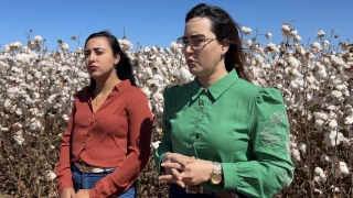 Alcione Guimarães Costa e Josiane Guimarães Costa, produtoras de algodão