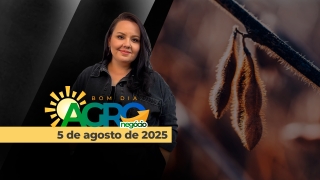 Bom Dia Agro - Com Carla Mendes