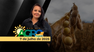 Bom Dia Agro - Com Carla Mendes