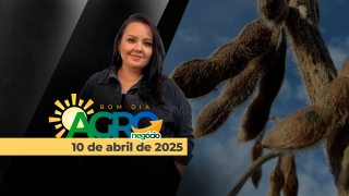 Bom Dia Agro - Com Carla Mendes