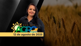 Bom Dia Agro - Com Carla Mendes