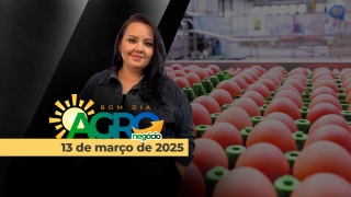 Bom Dia Agro - Com Carla Mendes
