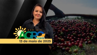Bom Dia Agro - Com Carla Mendes