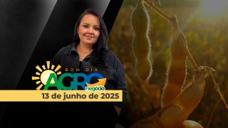 Bom Dia Agro - Com Carla Mendes