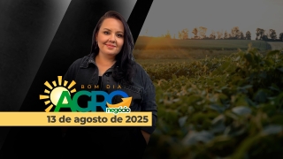 Bom Dia Agro - Com Carla Mendes
