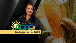 Bom Dia Agro - Com Carla Mendes