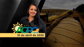 Bom Dia Agro - Com Carla Mendes