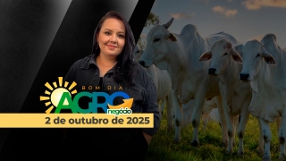 Bom Dia Agro - Com Carla Mendes