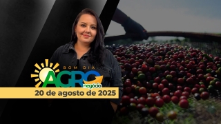 Bom Dia Agro - Com Carla Mendes