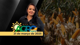 Bom Dia Agro - Com Carla Mendes