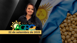 Bom Dia Agro - Com Carla Mendes