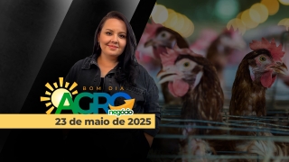 Bom Dia Agro - Com Carla Mendes