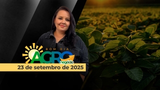 Bom Dia Agro - Com Carla Mendes