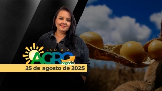 Bom Dia Agro - Com Carla Mendes