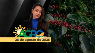 Bom Dia Agro - Com Andressa Simão
