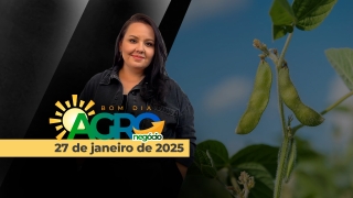 Bom Dia Agro - Com Carla Mendes