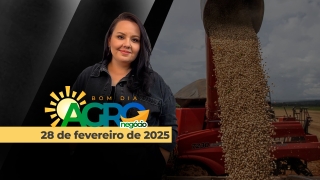 Bom Dia Agro - Com Carla Mendes