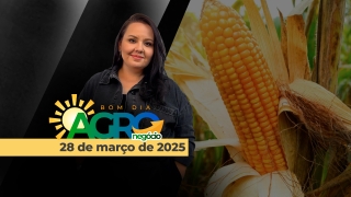 Bom Dia Agro - Com Carla Mendes