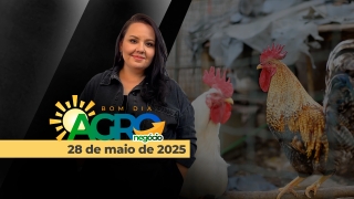 Bom Dia Agro - Com Carla Mendes