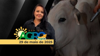 Bom Dia Agro - Com Carla Mendes
