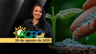 Bom Dia Agro - Com Carla Mendes
