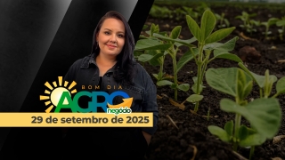 Bom Dia Agro - Com Carla Mendes