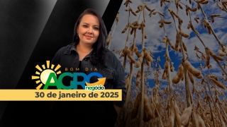 Bom Dia Agro - Com Carla Mendes