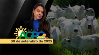 Bom Dia Agro - com Andressa Simão