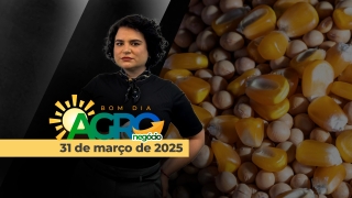 Bom dia Agro - Com Letícia Guimarães
