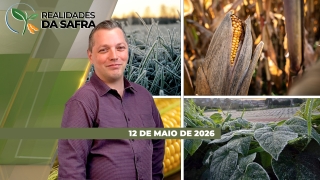 Realidades da Safra - Notícias Agrícolas