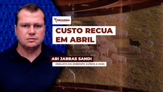 Ari Jarbas Sandi - Analista da Embrapa Suínos e Aves