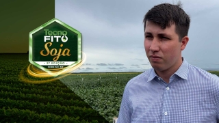 João Dantas, Pesquisador e Consultor em solos