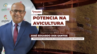 José Eduardo dos Santos - Presidente Executivo na Associação Gaúcha de Avicultura