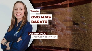 Juliana Pila - Analista Scot Consultoria