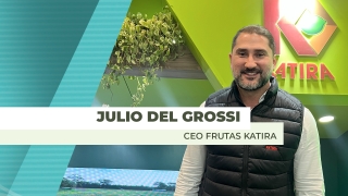 Julio del Grossi - CEO Frutas Katira