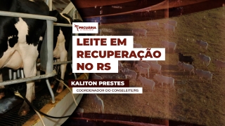 Kaliton Prestes - Coordenador do Conseleite/RS