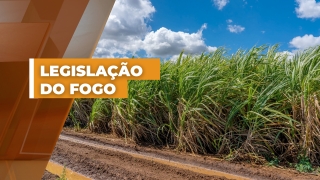 Naja Barros e Helena Della Torre - Coordenadora da ASSOMOGI e Advogada Especialista em Direito Ambiental