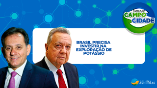 Brasil precisa investir na produção interna de potássio