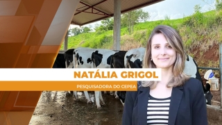 Natália Grigol - Pesquisadora do Cepea