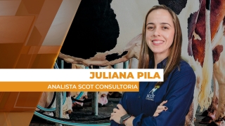 Juliana Pila - Analista Scot Consultoria