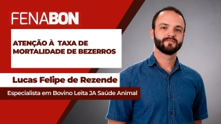 Lucas Felipe de Rezende